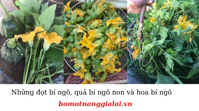 những nguyên liệu nấu ăn của người đồng bào jarai